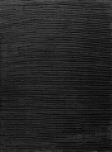 Ковёр Mono 23956 — чёрный, в полоску