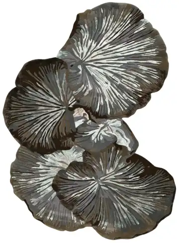 Ковёр Florea 5851 — серый и белый, растительный рисунок