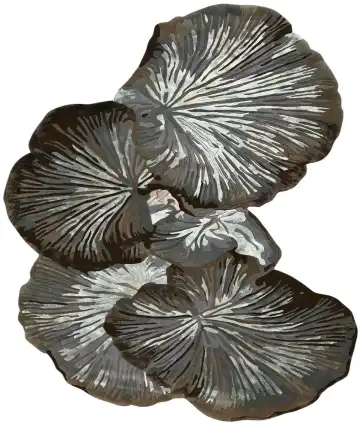 Ковёр Florea 5958 — серый и чёрный, растительный рисунок