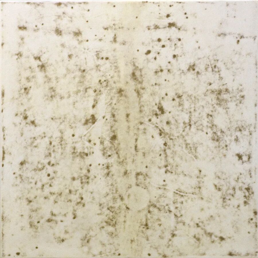 Wall panels